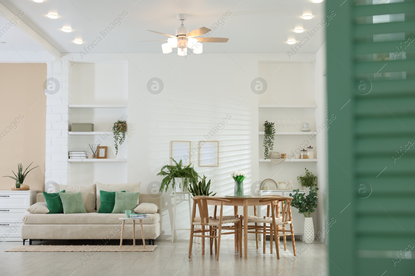 Comfortable sofa, table, chairs and green houseplants indoors. Interior design Photo of Comfortable sofa, table, chairs and green houseplants indoors. Interior design