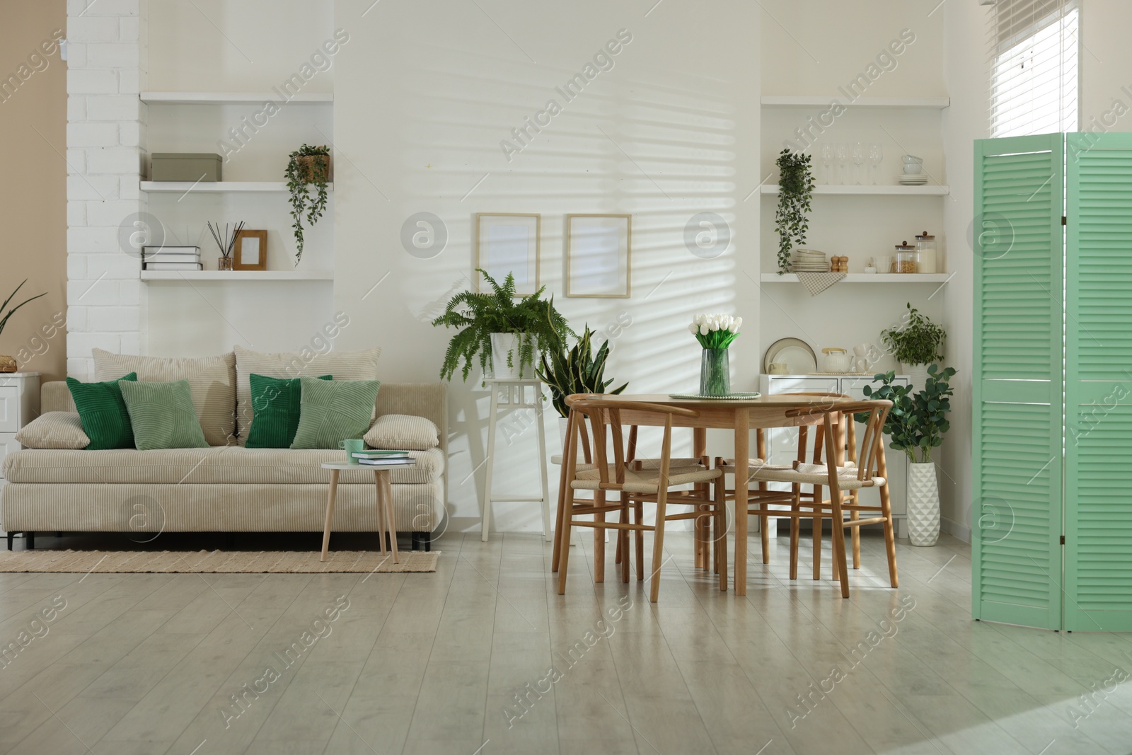 Comfortable sofa, table, chairs and green houseplants indoors. Interior design Photo of Comfortable sofa, table, chairs and green houseplants indoors. Interior design