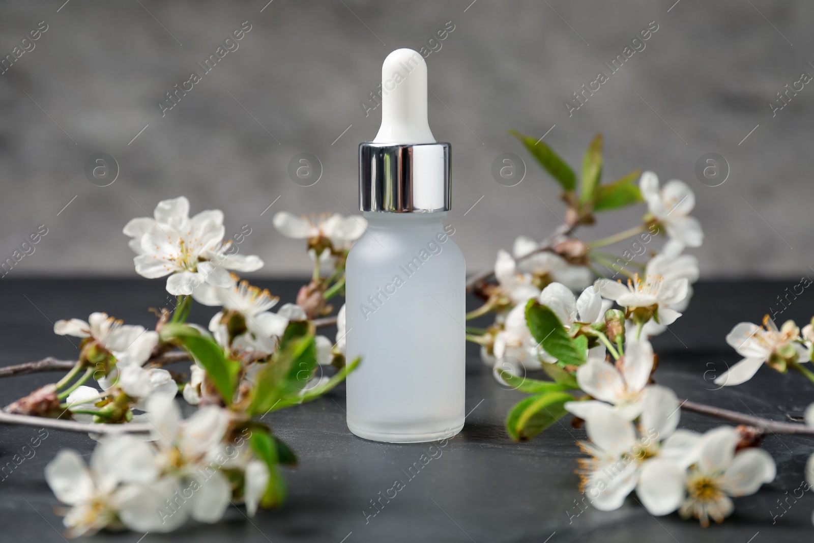 Bottle of cosmetic product and twigs with beautiful flowers on black textured table against gray background, closeup Photo of Bottle of cosmetic product and twigs with beautiful flowers on black textured table against gray background, closeup