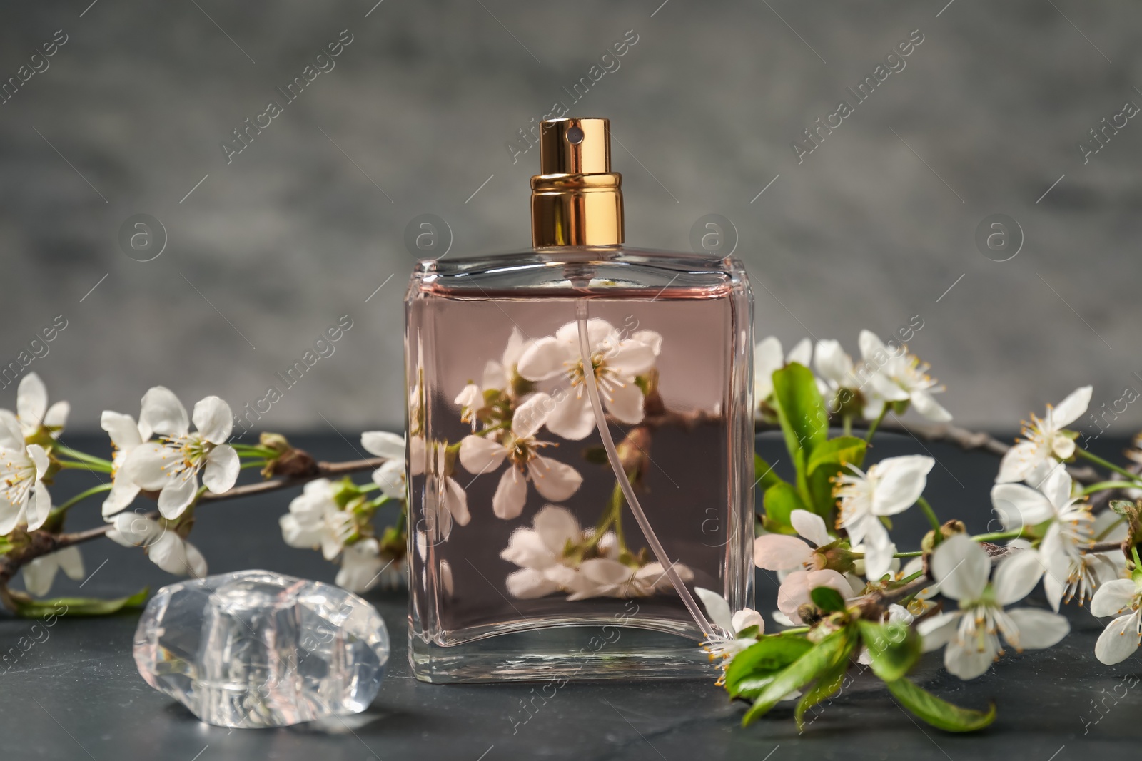Bottle of aromatic perfume and twigs with beautiful flowers on gray background, closeup Photo of Bottle of aromatic perfume and twigs with beautiful flowers on gray background, closeup