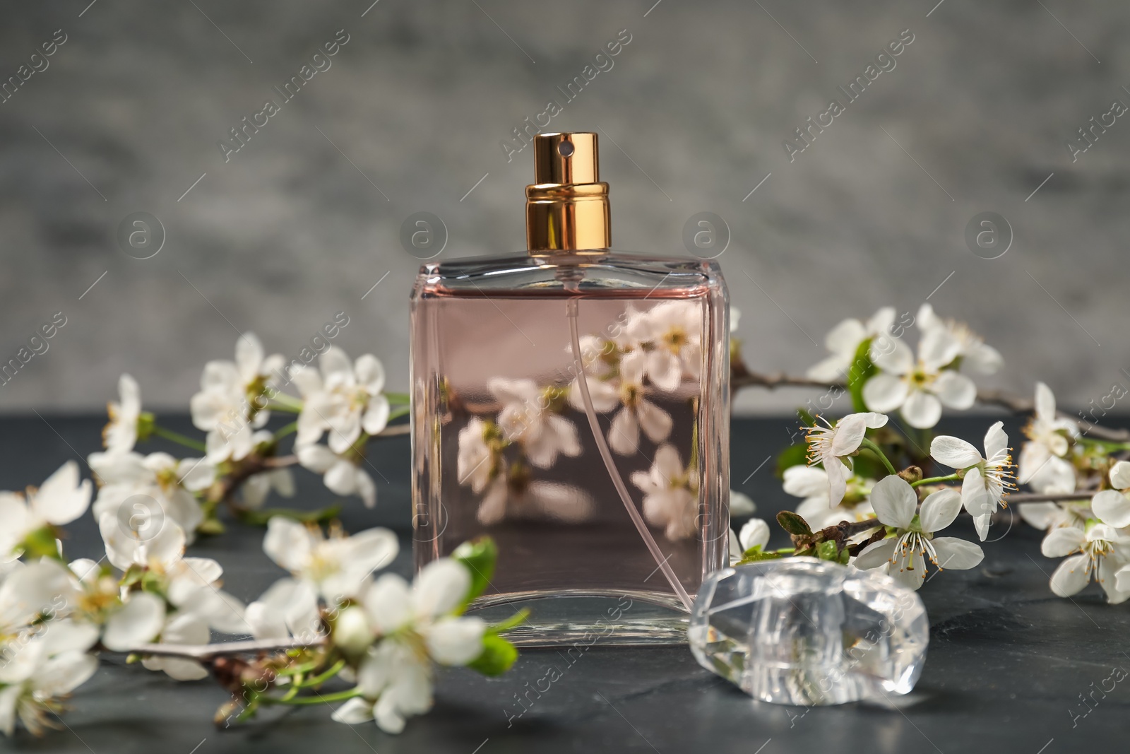 Bottle of aromatic perfume and twigs with beautiful flowers on gray background, closeup Photo of Bottle of aromatic perfume and twigs with beautiful flowers on gray background, closeup