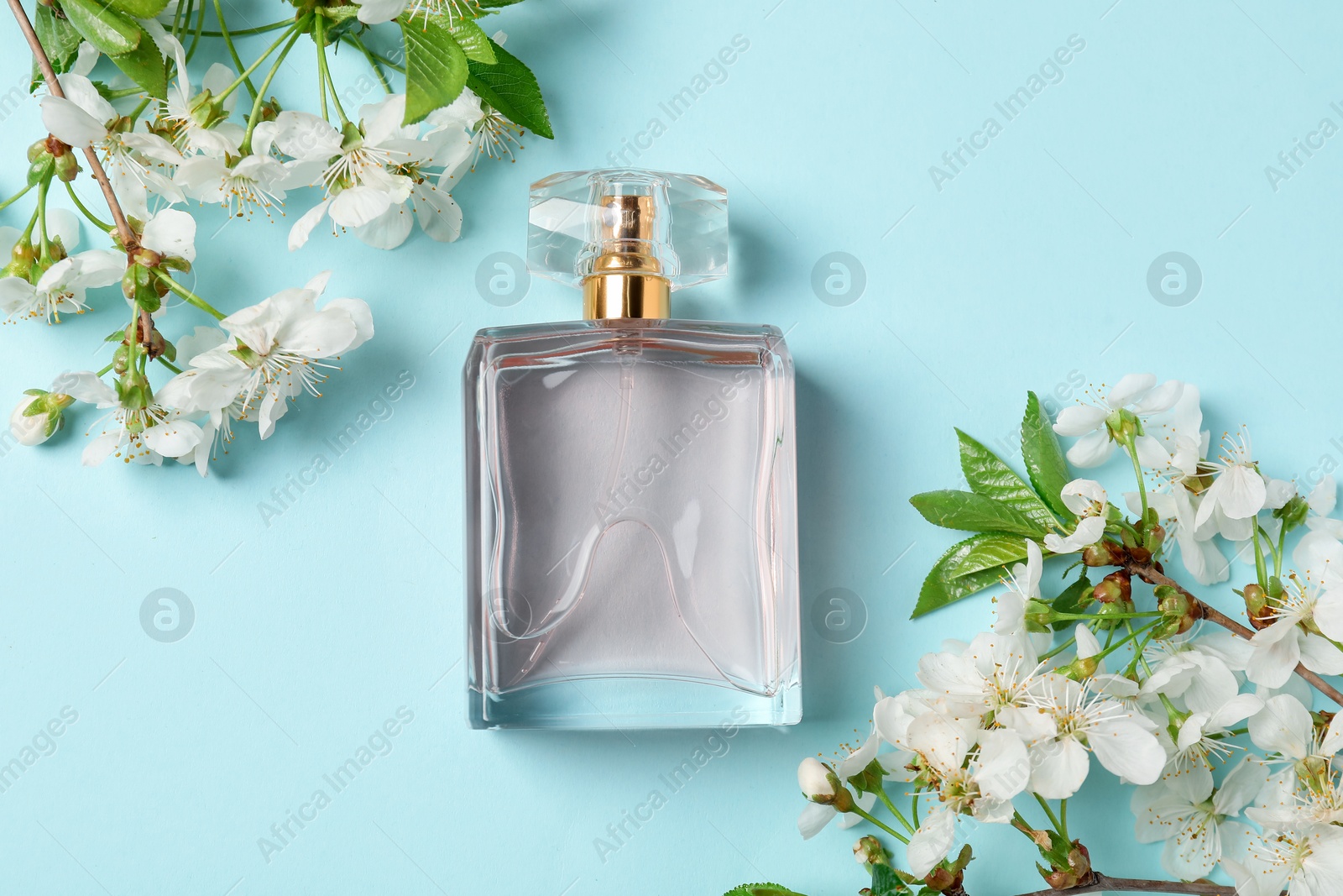 Bottle of aromatic perfume and twigs with beautiful flowers on light blue background, flat lay Photo of Bottle of aromatic perfume and twigs with beautiful flowers on light blue background, flat lay