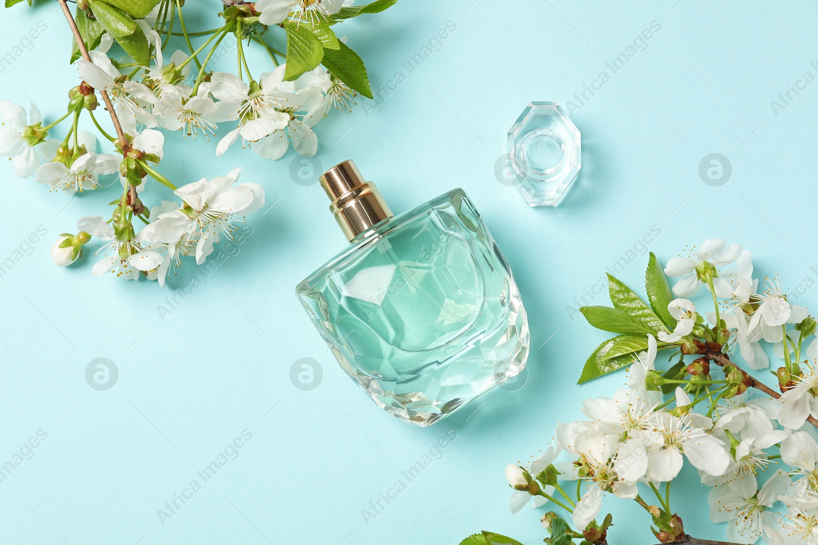 Bottle of aromatic perfume and twigs with beautiful flowers on light blue background, flat lay Photo of Bottle of aromatic perfume and twigs with beautiful flowers on light blue background, flat lay