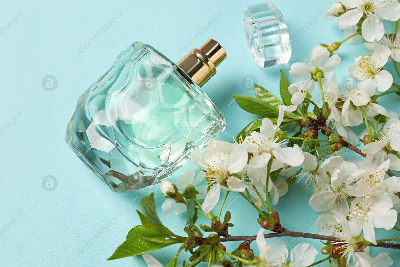 Bottle of aromatic perfume and twigs with beautiful flowers on light blue background, flat lay Photo of Bottle of aromatic perfume and twigs with beautiful flowers on light blue background, flat lay