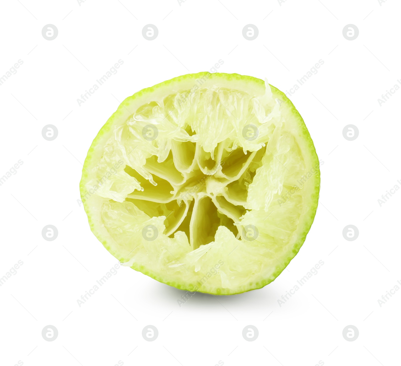 Half of squeezed lime isolated on white Photo of Half of squeezed lime isolated on white