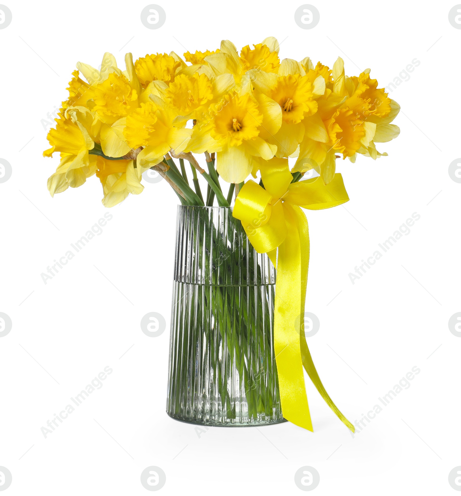Yellow daffodils in vase isolated on white Photo of Yellow daffodils in vase isolated on white