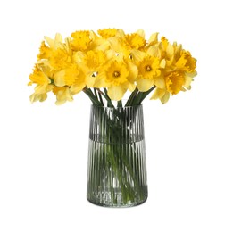Photo of Yellow daffodils in vase isolated on white