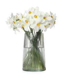 Photo of Beautiful daffodils in vase isolated on white