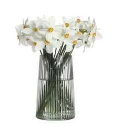 Photo of Beautiful daffodils in vase isolated on white