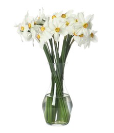 Photo of Beautiful daffodils in vase isolated on white