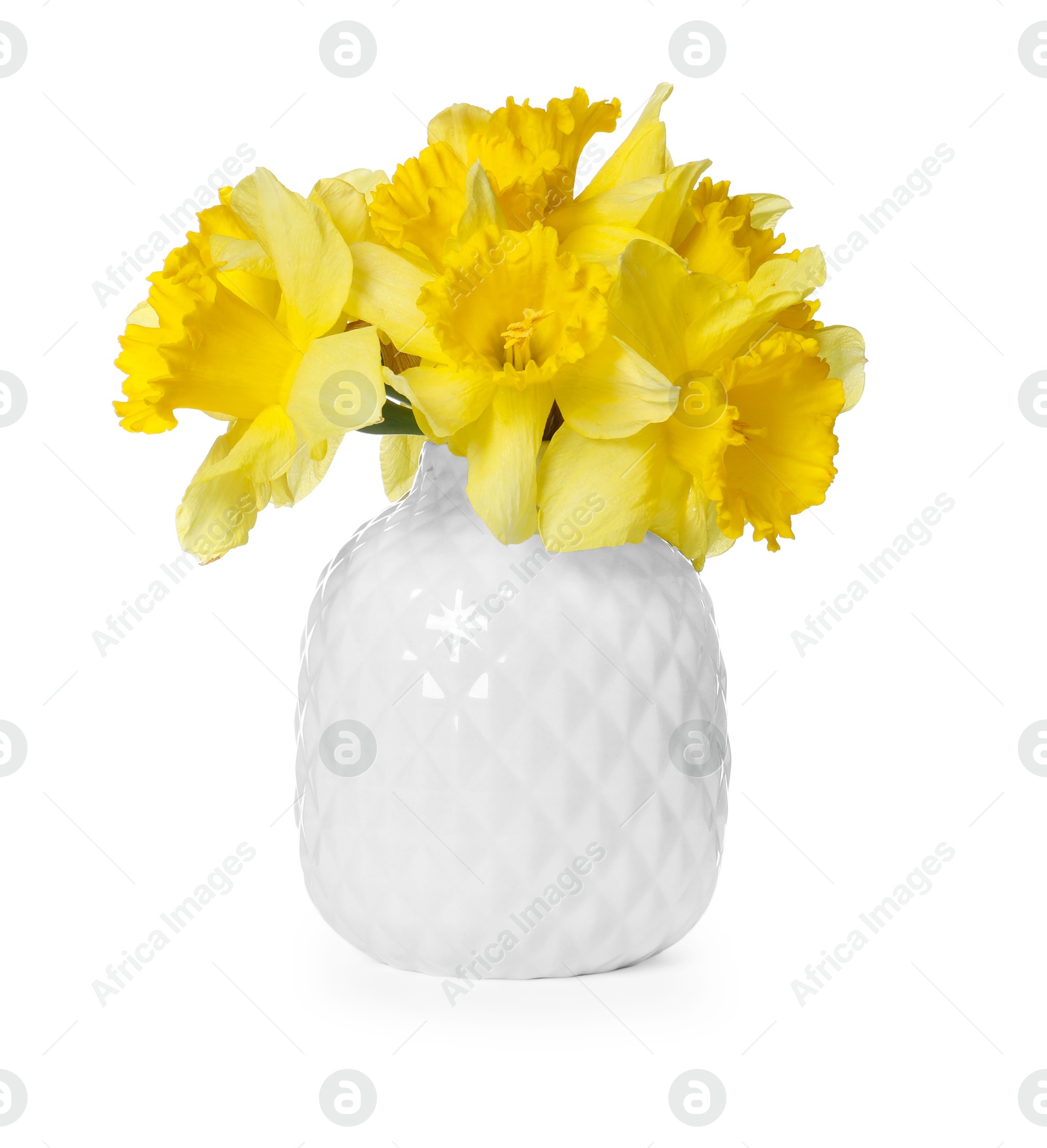 Yellow daffodils in vase isolated on white Photo of Yellow daffodils in vase isolated on white