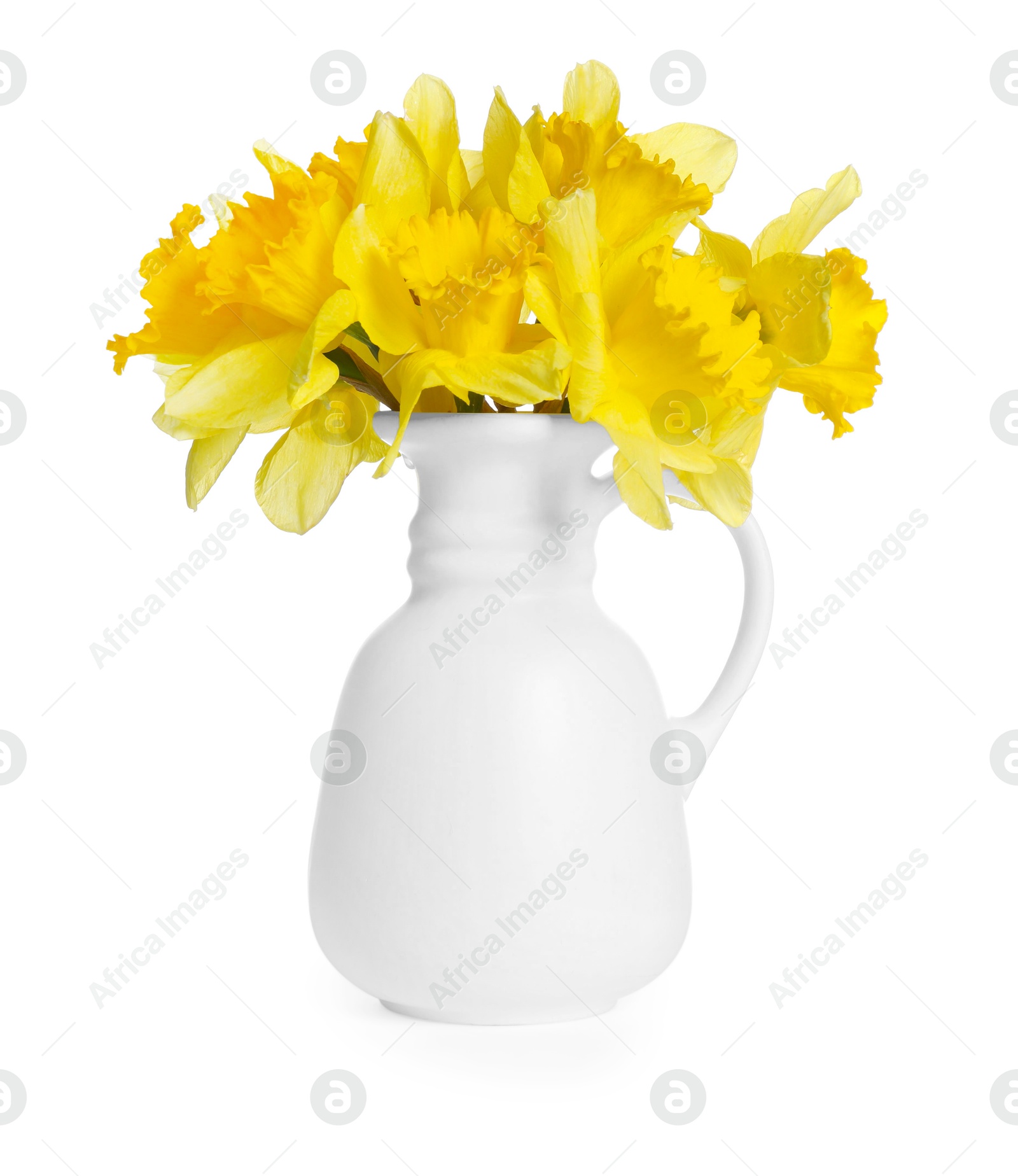 Yellow daffodils in vase isolated on white Photo of Yellow daffodils in vase isolated on white