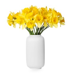 Photo of Yellow daffodils in vase isolated on white