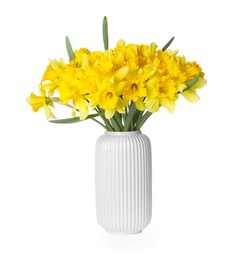 Photo of Yellow daffodils in vase isolated on white