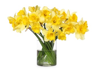 Photo of Yellow daffodils in vase isolated on white