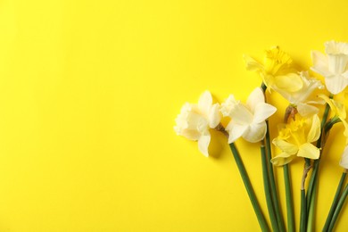 Photo of Beautiful daffodils on yellow background, flat lay. Space for text