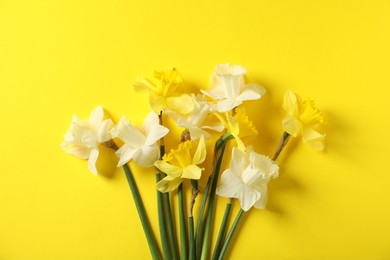 Photo of Beautiful daffodils on yellow background, flat lay