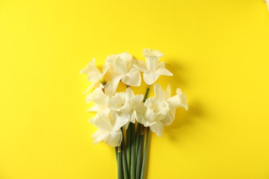 Photo of Beautiful daffodils on yellow background, flat lay