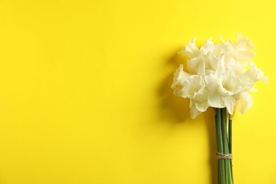 Photo of Bunch of beautiful daffodils on yellow background, top view. Space for text