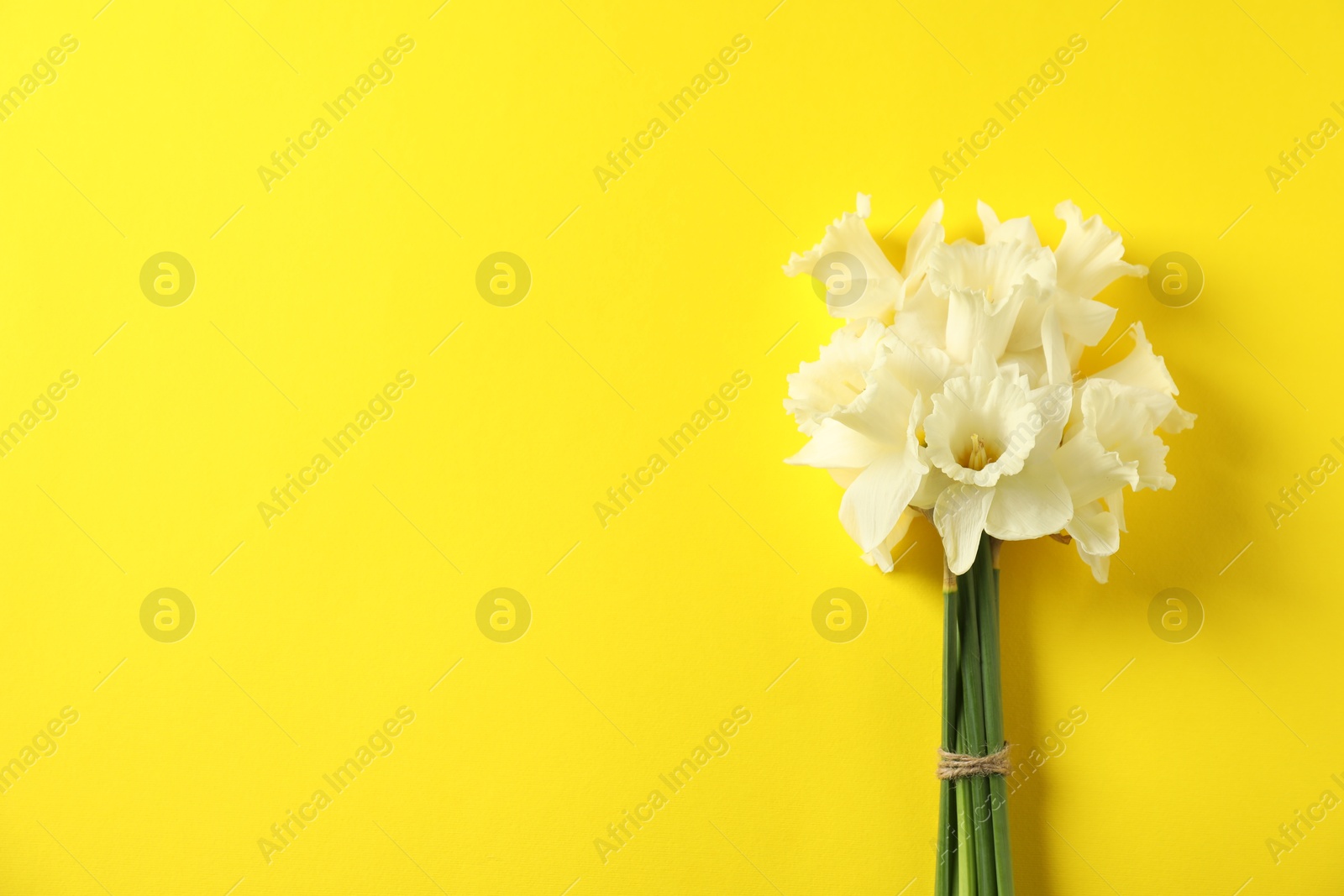Bunch of beautiful daffodils on yellow background, top view. Space for text Photo of Bunch of beautiful daffodils on yellow background, top view. Space for text