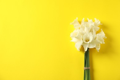 Photo of Bunch of beautiful daffodils on yellow background, top view. Space for text