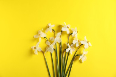Photo of Beautiful daffodils on yellow background, flat lay