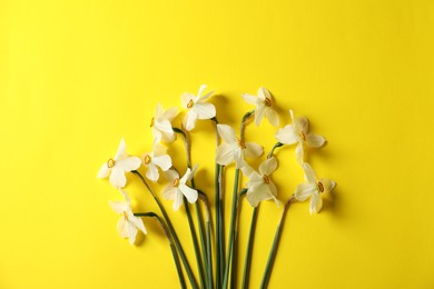 Photo of Beautiful daffodils on yellow background, flat lay