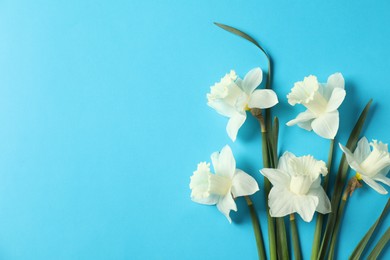 Photo of Beautiful daffodils on light blue background, flat lay. Space for text