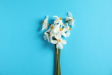 Photo of Beautiful daffodils on light blue background, top view