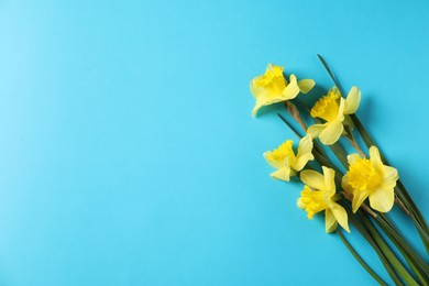 Photo of Beautiful daffodils on light blue background, flat lay. Space for text