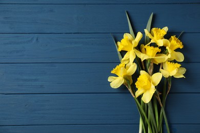 Photo of Beautiful daffodils on blue wooden table, flat lay. Space for text