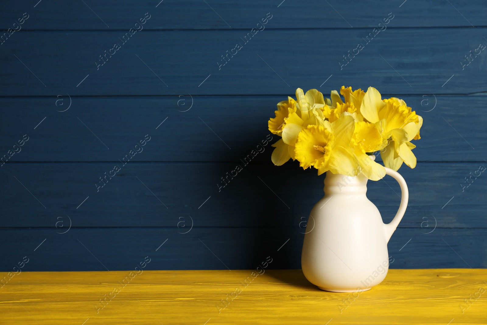 Beautiful daffodils in vase on yellow wooden table against blue background. Space for text Photo of Beautiful daffodils in vase on yellow wooden table against blue background. Space for text