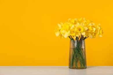 Photo of Beautiful daffodils in vase on white table against yellow background. Space for text