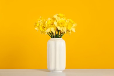 Photo of Beautiful daffodils in vase on white table against yellow background