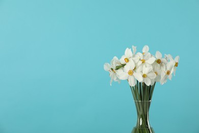 Photo of Beautiful daffodils in vase on turquoise background, closeup. Space for text