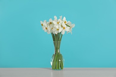 Photo of Beautiful daffodils in vase on grey table against turquoise background