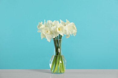 Photo of Beautiful daffodils in vase on grey table against turquoise background