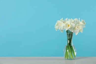 Photo of Beautiful daffodils in vase on table against light blue background. Space for text