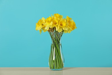 Photo of Beautiful daffodils in vase on table against turquoise background