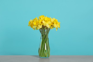 Photo of Beautiful daffodils in vase on grey table against turquoise background
