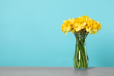 Photo of Beautiful daffodils in vase on grey table against turquoise background. Space for text