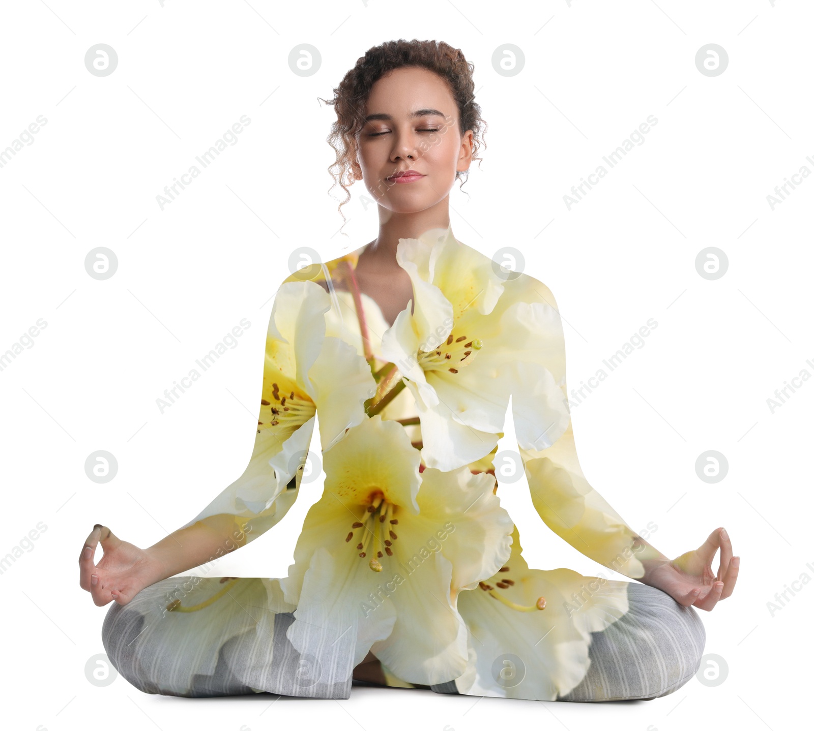 Young woman meditating during yoga practice on white background, double exposure with flowers Image of Young woman meditating during yoga practice on white background, double exposure with flowers