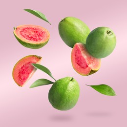 Image of Fresh guava fruits and leaves falling on pastel pink background