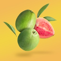 Image of Fresh guava fruits and leaves falling on orange background