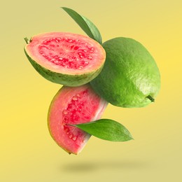 Image of Fresh guava fruits and leaves falling on yellow background