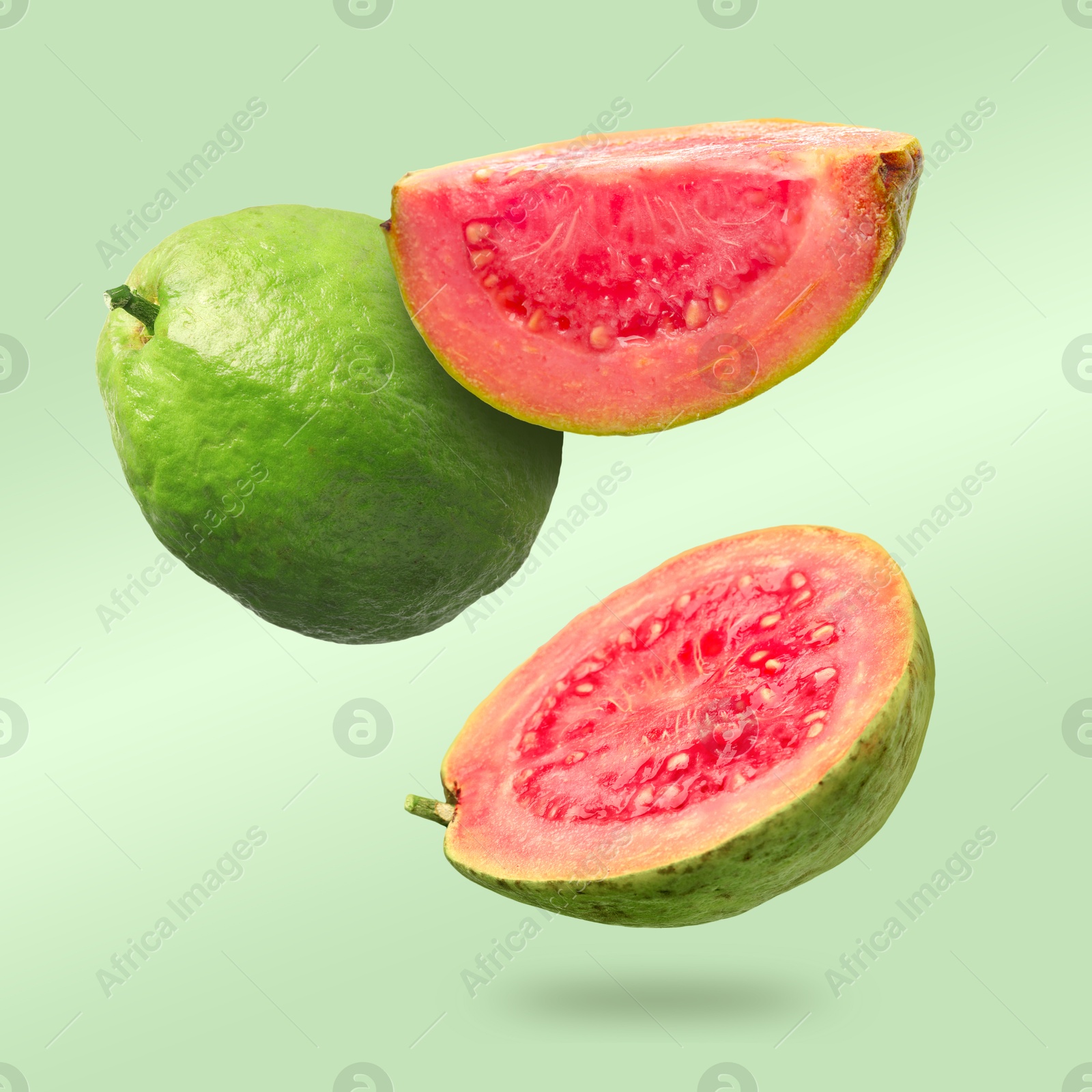 Fresh guava fruits falling on light green background Image of Fresh guava fruits falling on light green background