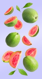 Image of Fresh guava fruits and leaves falling on light violet background