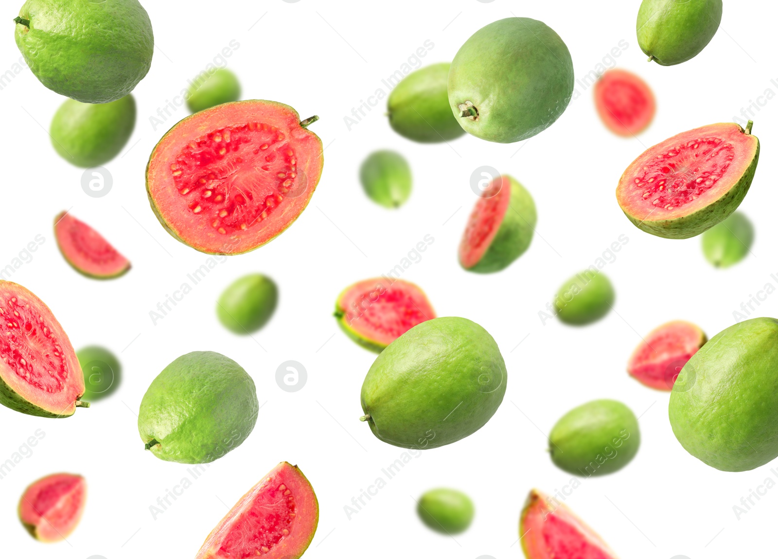 Fresh guava fruits flying on white background Image of Fresh guava fruits flying on white background
