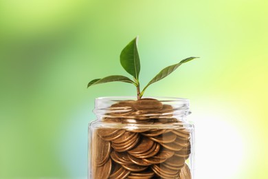 Photo of Investment concept. Glass jar with coins and sprout against blurred green background, closeup