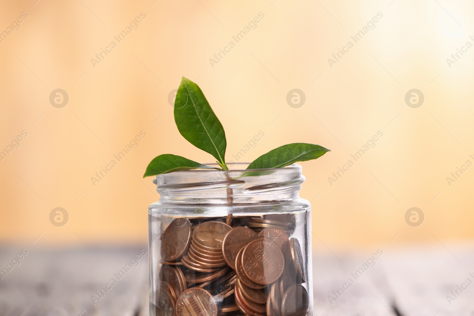 Investment concept. Glass jar with coins and sprout on table against blurred orange background, closeup Photo of Investment concept. Glass jar with coins and sprout on table against blurred orange background, closeup